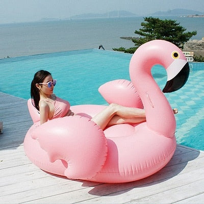 Giant Inflatable Flamingo